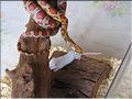 IMG_0209